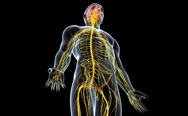 10 Pola Hidup Sehat Agar Saraf Selalu Responsif